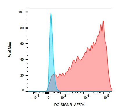 Human DC-SIGNR/CD299 Alexa Fluor® 594-conjugated Antibody FAB162T