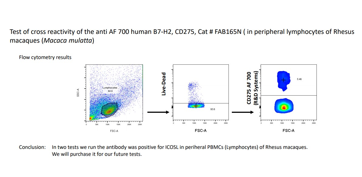 Human B7-H2 Alexa Fluor® 700-conjugated Antibody FAB165N