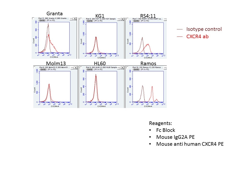 Human CXCR4 PE‑conjugated Antibody FAB170P