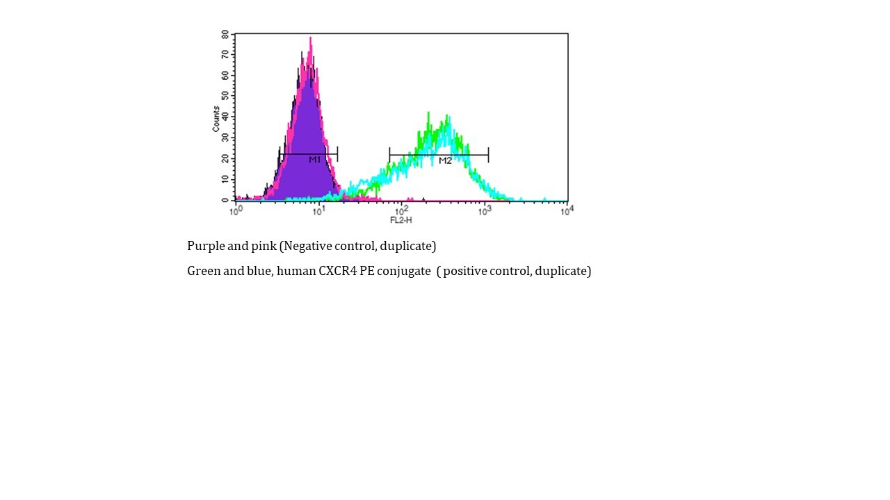 Human CXCR4 PE‑conjugated Antibody FAB170P