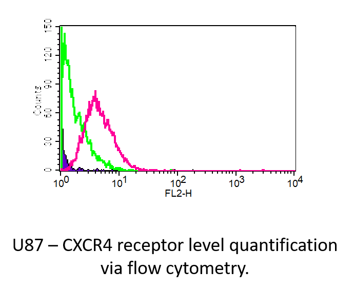 Human CXCR4 PE‑conjugated Antibody FAB170P