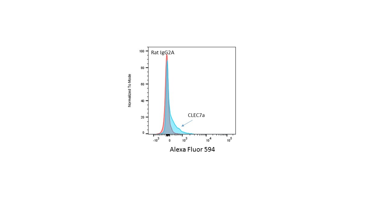 Mouse Dectin‑1/CLEC7A Alexa Fluor® 594‑conjugated Antibody FAB17561T