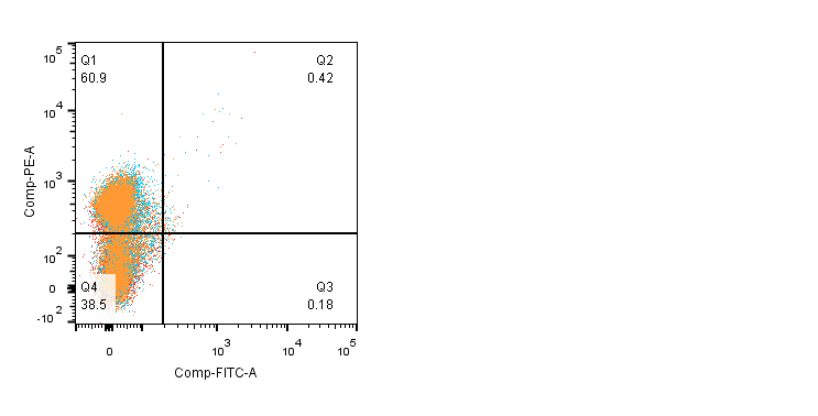 Human CXCR5 PE‑conjugated Antibody FAB190P