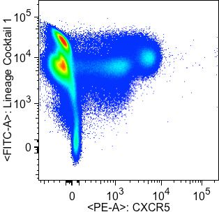 Human CXCR5 PE‑conjugated Antibody FAB190P