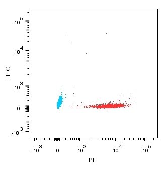 Human BCMA/TNFRSF17 PE‑conjugated Antibody FAB193P