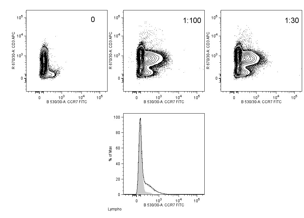 Human CCR7 Fluorescein‑conjugated Antibody FAB197F