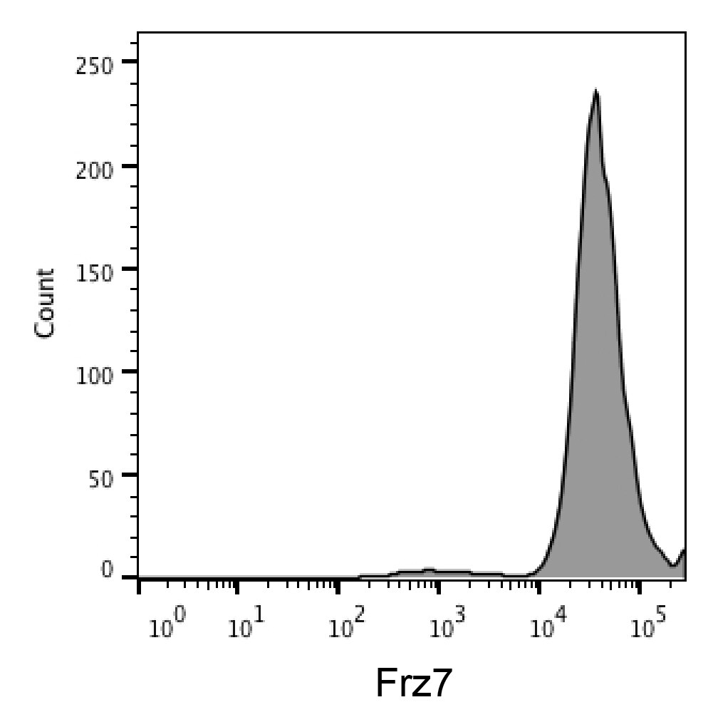 Human/Mouse Frizzled‑7 APC‑conjugated Antibody FAB1981A