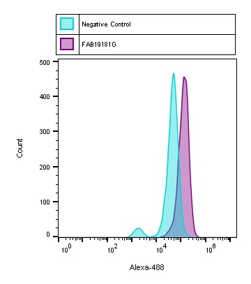 Human/Mouse Frizzled-7 Alexa Fluor® 488-conjugated Antibody FAB1981G