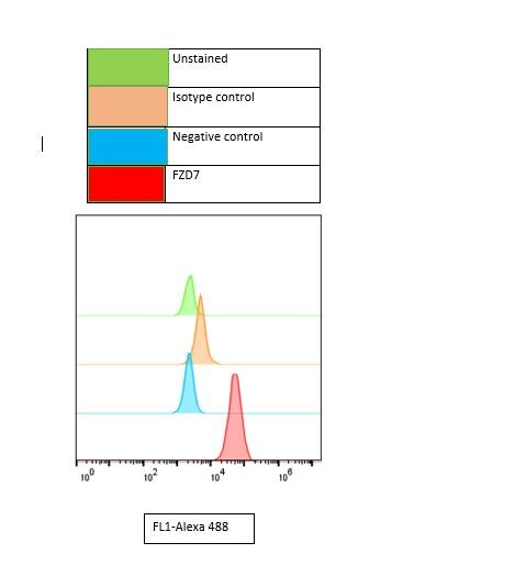 Human/Mouse Frizzled-7 Alexa Fluor® 488-conjugated Antibody FAB1981G