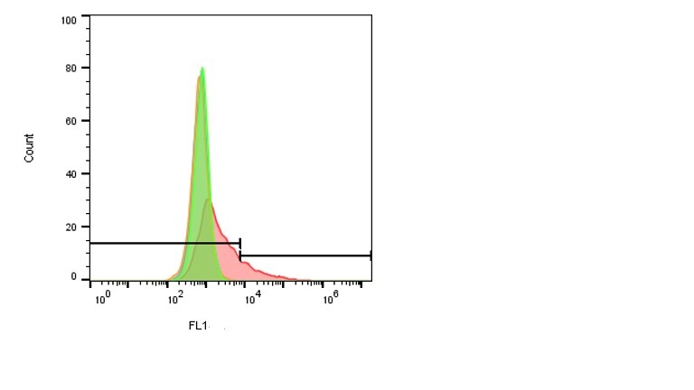 Human/Mouse Frizzled-7 Alexa Fluor® 488-conjugated Antibody FAB1981G