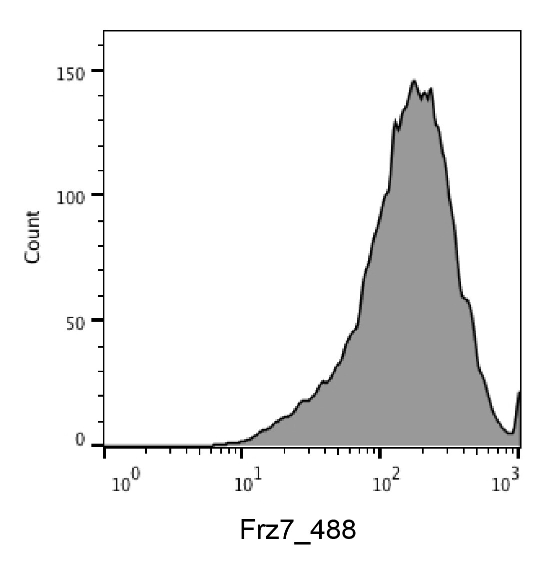 Human/Mouse Frizzled-7 Alexa Fluor® 488-conjugated Antibody FAB1981G
