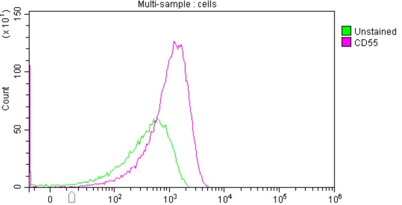 Human CD55/DAF Alexa Fluor® 750-conjugated Antibody FAB20091S