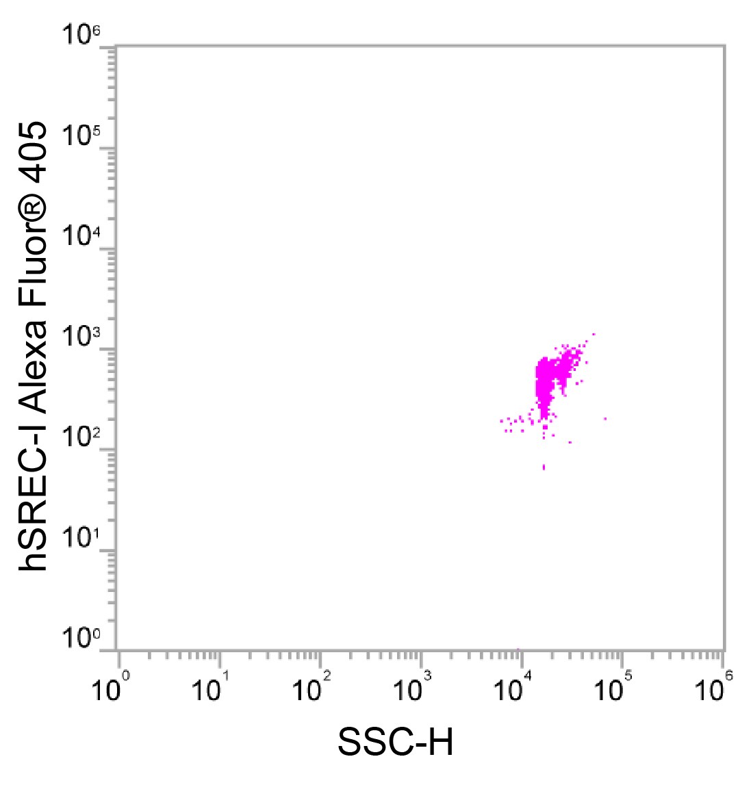 Human CD90/Thy1 Alexa Fluor® 700-conjugated Antibody FAB2067N