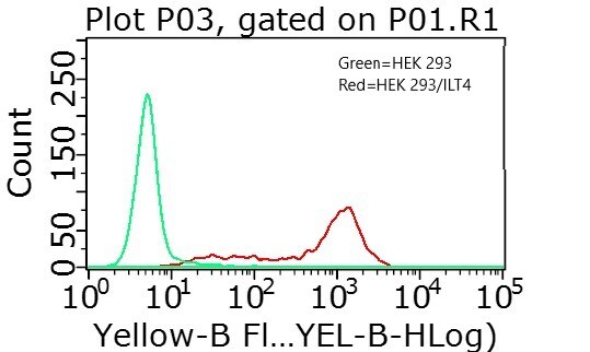 Human LILRB2/CD85d/ILT4 PE‑conjugated Antibody FAB2078P