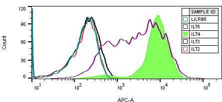 Human LILRB2/CD85d/ILT4 Alexa Fluor® 647‑conjugated Antibody FAB2078R