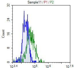 Human Glypican 3 Alexa Fluor® 488‑conjugated Antibody FAB2119G