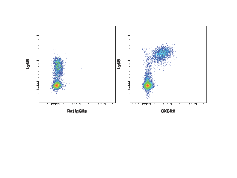 Mouse CXCR2/IL-8RB PE-conjugated Antibody FAB2164P