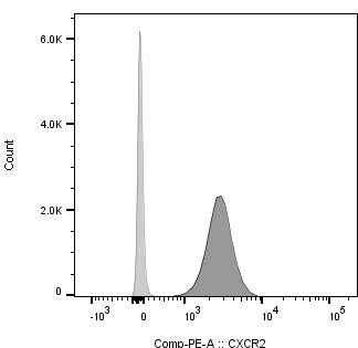 Mouse CXCR2/IL-8RB PE-conjugated Antibody FAB2164P