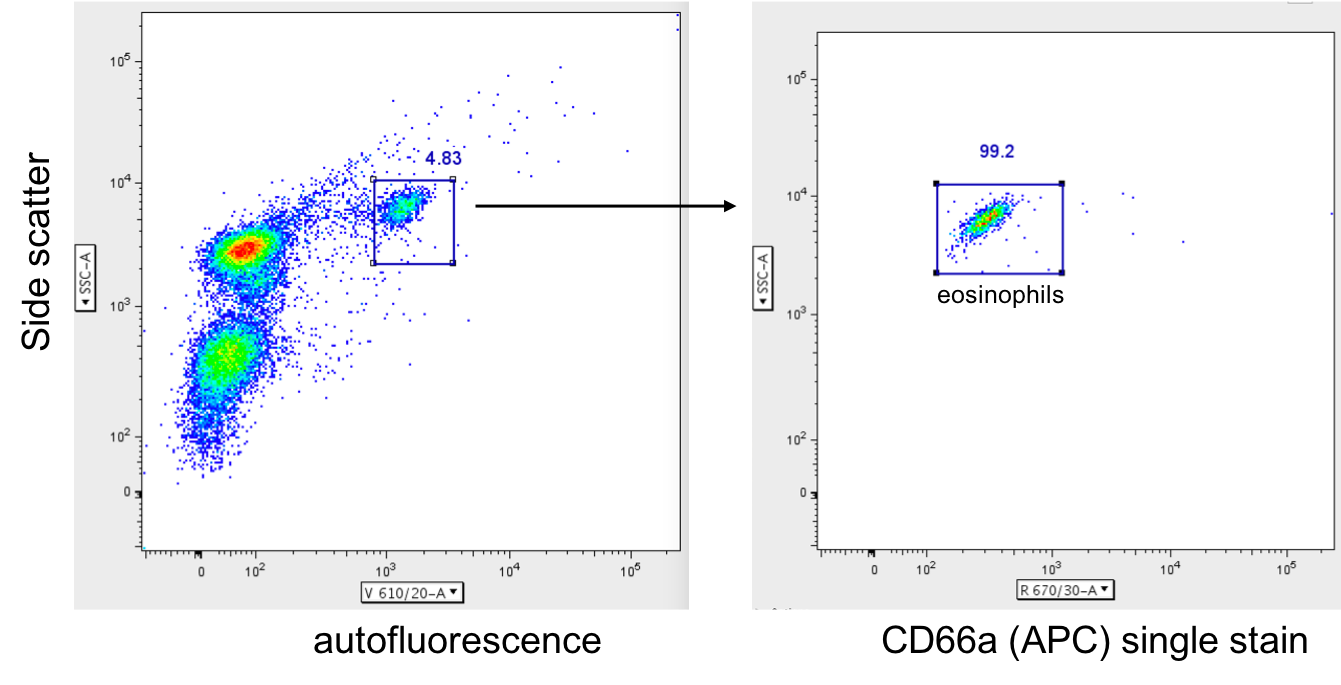 Human CEACAM‑1/CD66a APC‑conjugated Antibody FAB2244A
