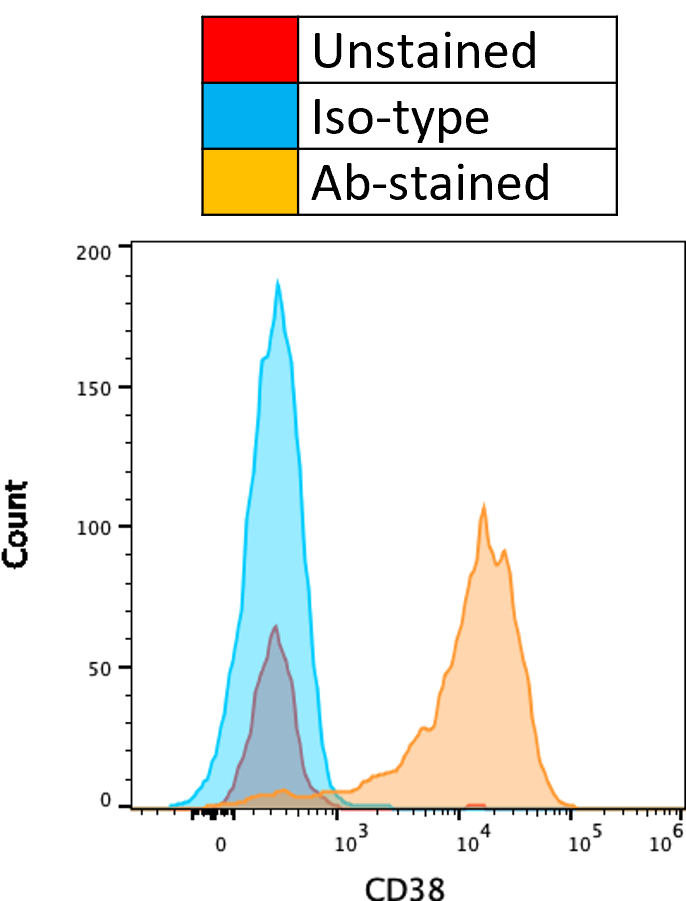 Human CD38 Fluorescein‑conjugated Antibody FAB2404F