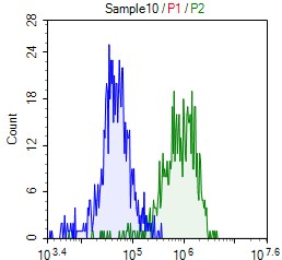 Human TGF‑ beta  RII APC‑conjugated Antibody FAB2411A