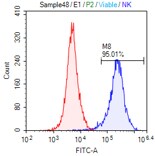 Human TGF‑ beta  RII Fluorescein‑conjugated Antibody FAB241F