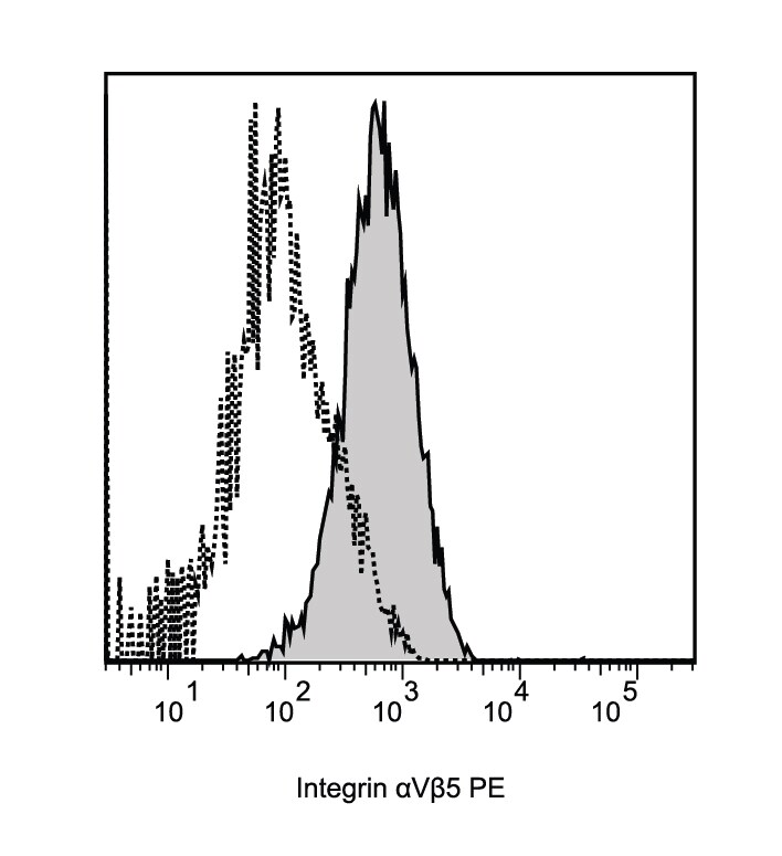 Human Integrin  alpha V beta 5 PE‑conjugated Antibody FAB2528P
