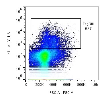 Human Fc gamma RIII (CD16) PE‑conjugated Antibody FAB2546P