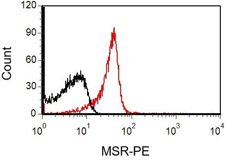 Human SR‑AI/MSR PE‑conjugated Antibody FAB2708P
