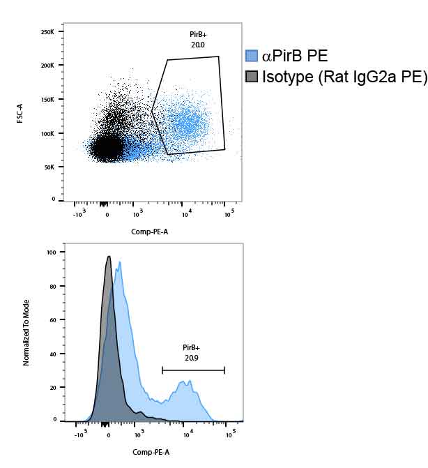 Mouse PIR‑B PE‑conjugated Antibody FAB2754P