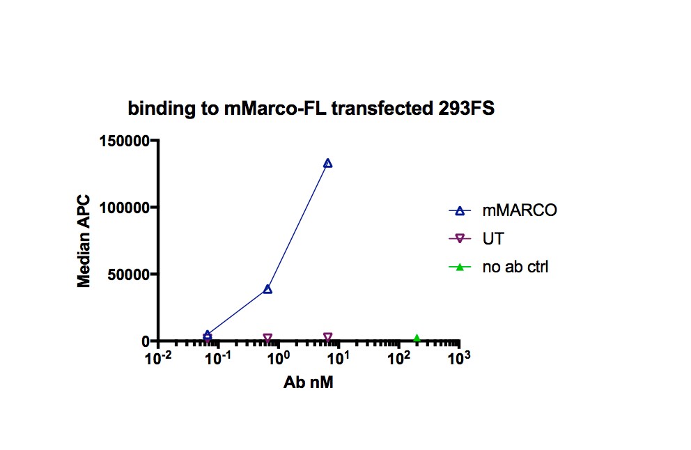 Mouse MARCO APC‑conjugated Antibody FAB2956A