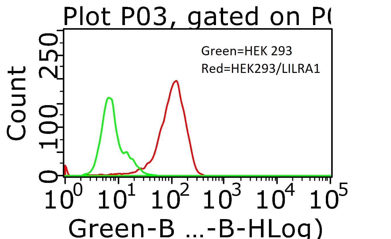 Human LILRA1/CD85i/LIR-6 Alexa Fluor® 488-conjugated Antibody FAB30851G