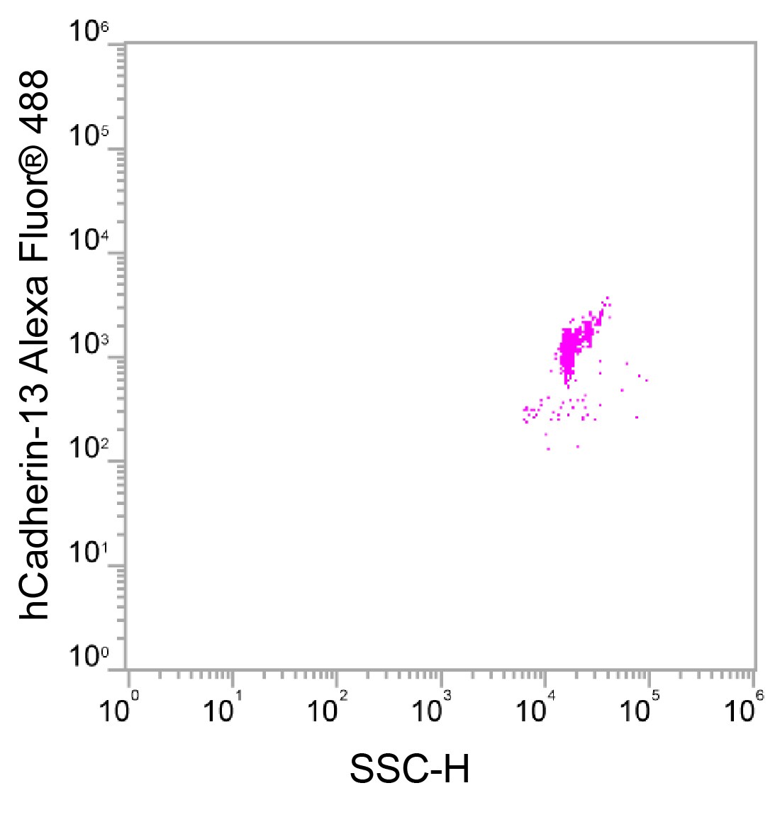 Human/Mouse Cadherin-13 Alexa Fluor® 488-conjugated Antibody FAB3264G