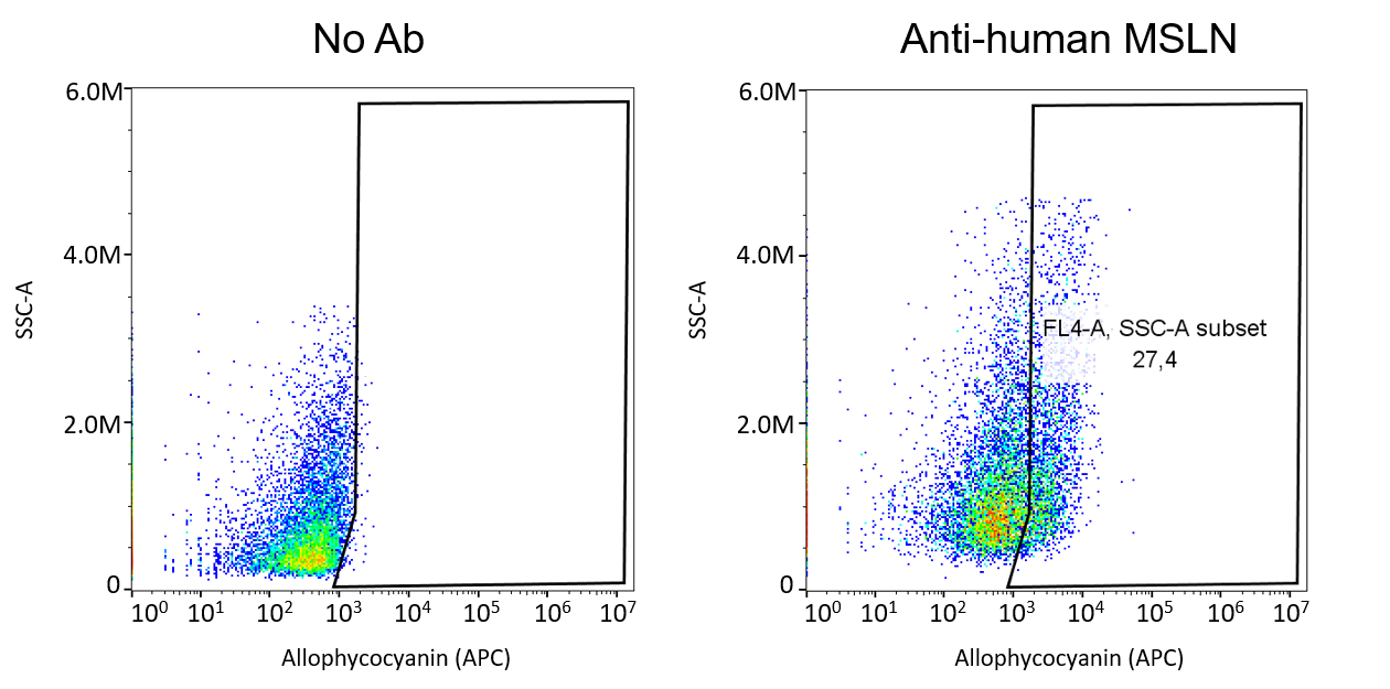 Human Mesothelin APC‑conjugated Antibody FAB32652A
