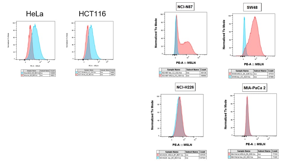 Human Mesothelin PE‑conjugated Antibody FAB32652P