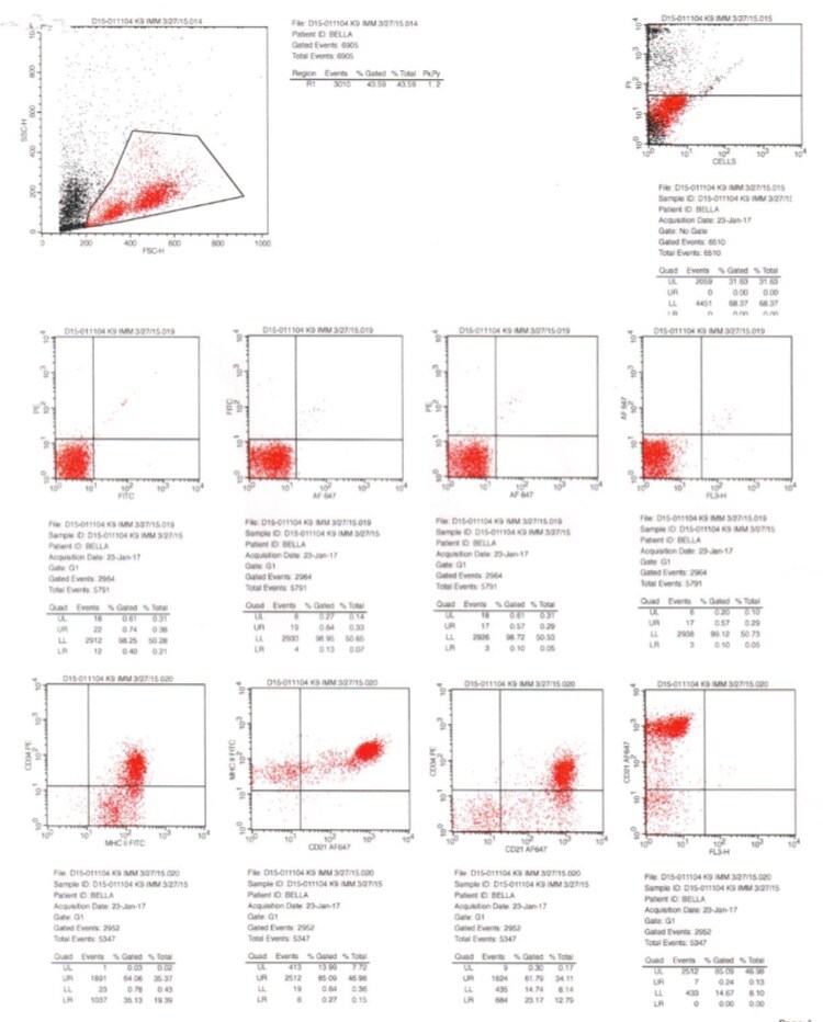 Canine CD34 PE‑conjugated Antibody FAB3346P