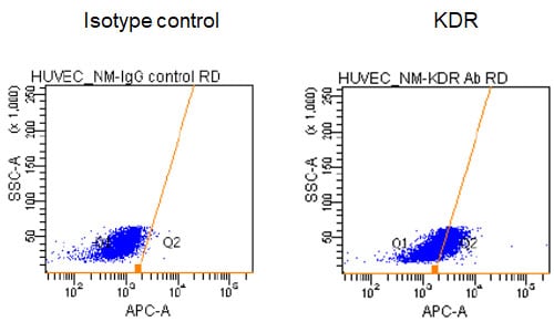 Human VEGFR2/KDR/Flk-1 APC‑conjugated Antibody FAB357A