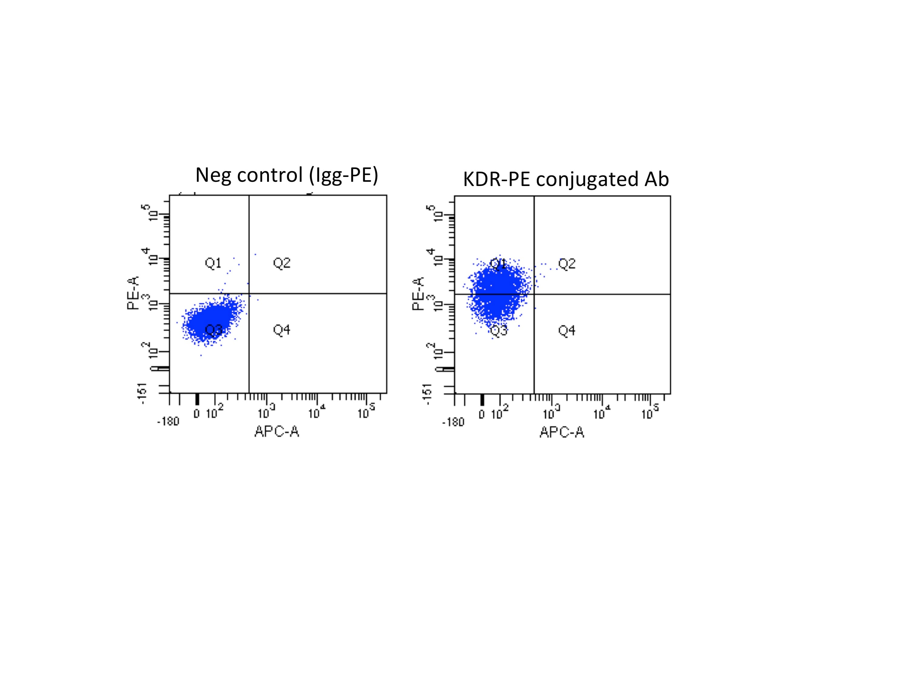 Human VEGFR2/KDR/Flk-1 PE‑conjugated Antibody FAB357P