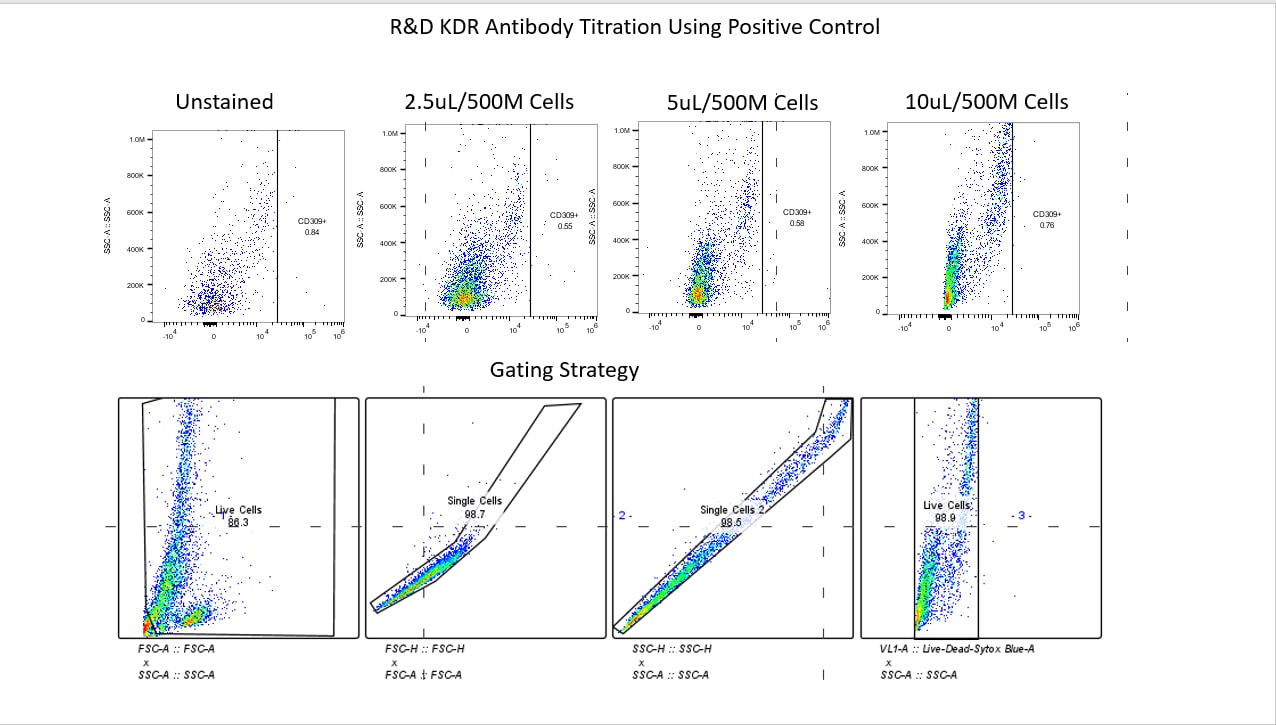 Human VEGFR2/KDR/Flk-1 PE‑conjugated Antibody FAB357P