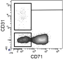 Mouse/Rat CD31/PECAM‑1 Alexa Fluor® 488‑conjugated Antibody FAB3628G