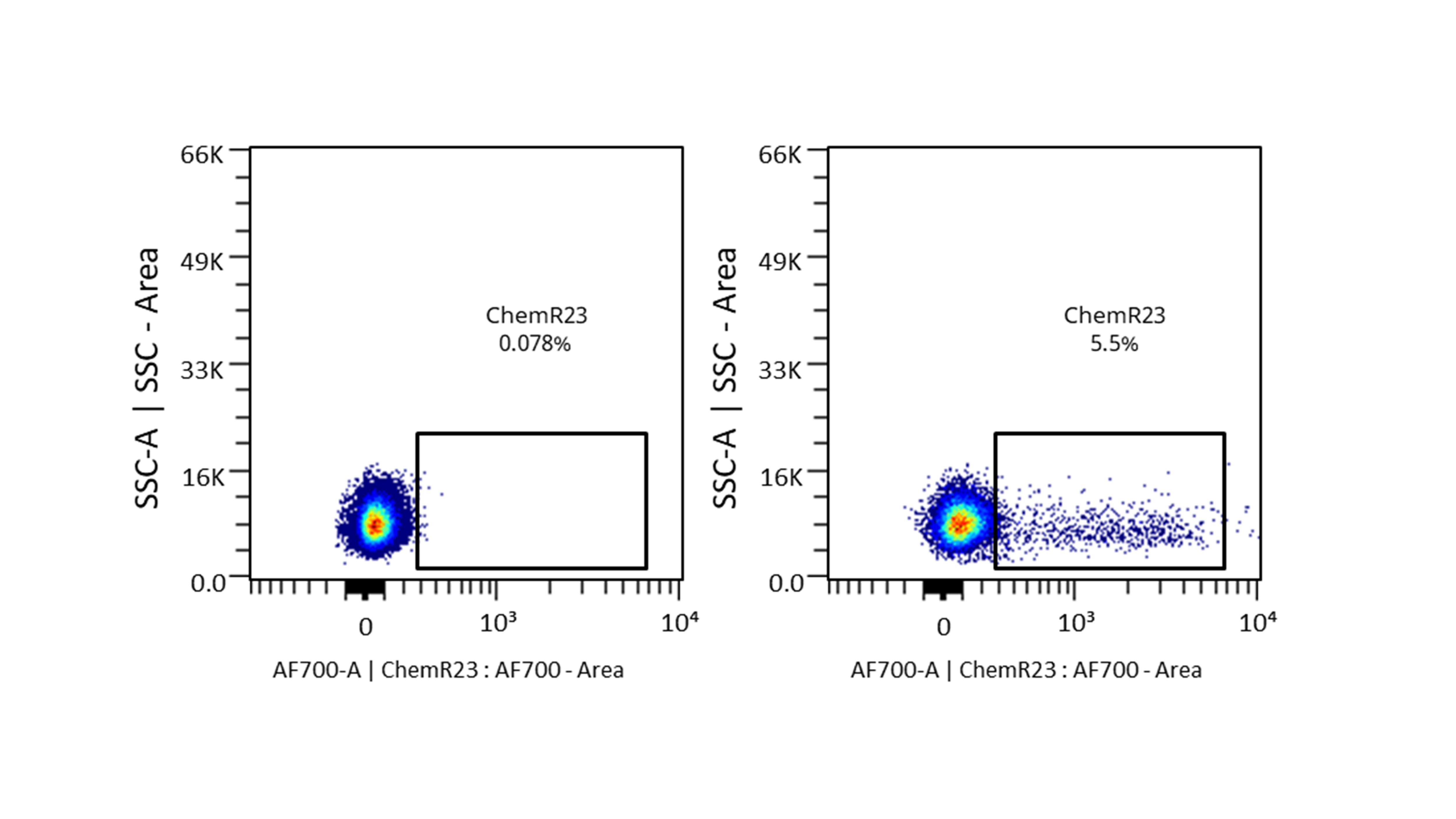 Human ChemR23 Alexa Fluor® 700-conjugated Antibody FAB362N