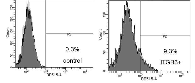 Mouse Integrin beta 3/CD61 Alexa Fluor® 488-conjugated Antibody FAB41182G