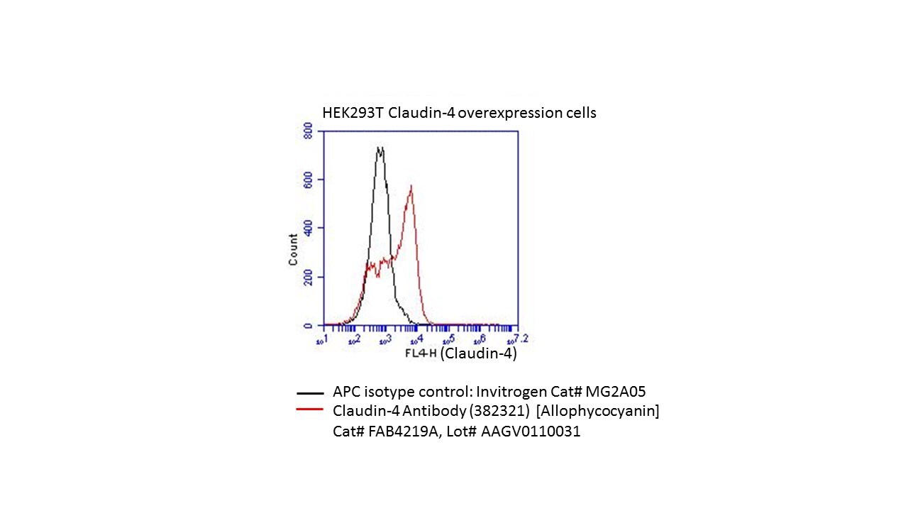 Human Claudin‑4 APC‑conjugated Antibody FAB4219A