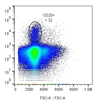 Human CD20 Alexa Fluor® 700‑conjugated Antibody FAB4225N