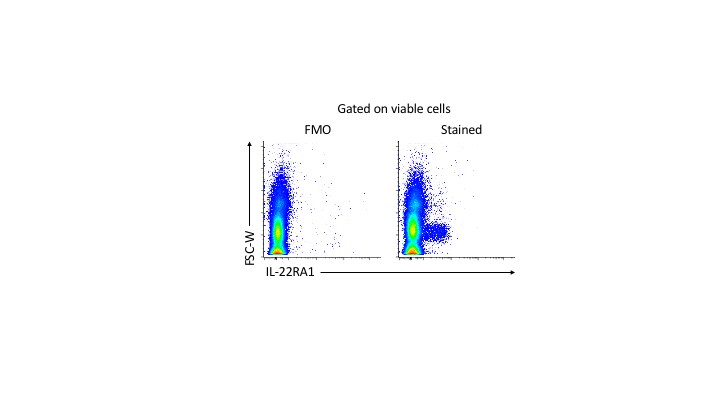 Mouse IL‑22 R alpha 1 PE‑conjugated Antibody FAB42941P