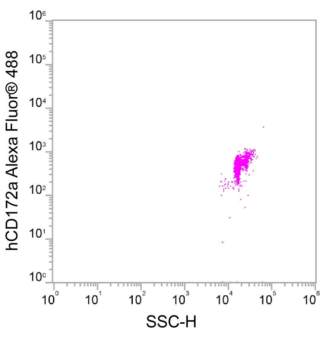 Human SIRP alpha/CD172a Alexa Fluor® 488-conjugated Antibody FAB4546G