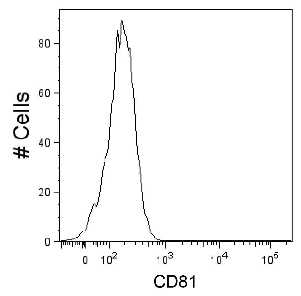 Human CD81 Alexa Fluor® 488‑conjugated Antibody FAB4615G