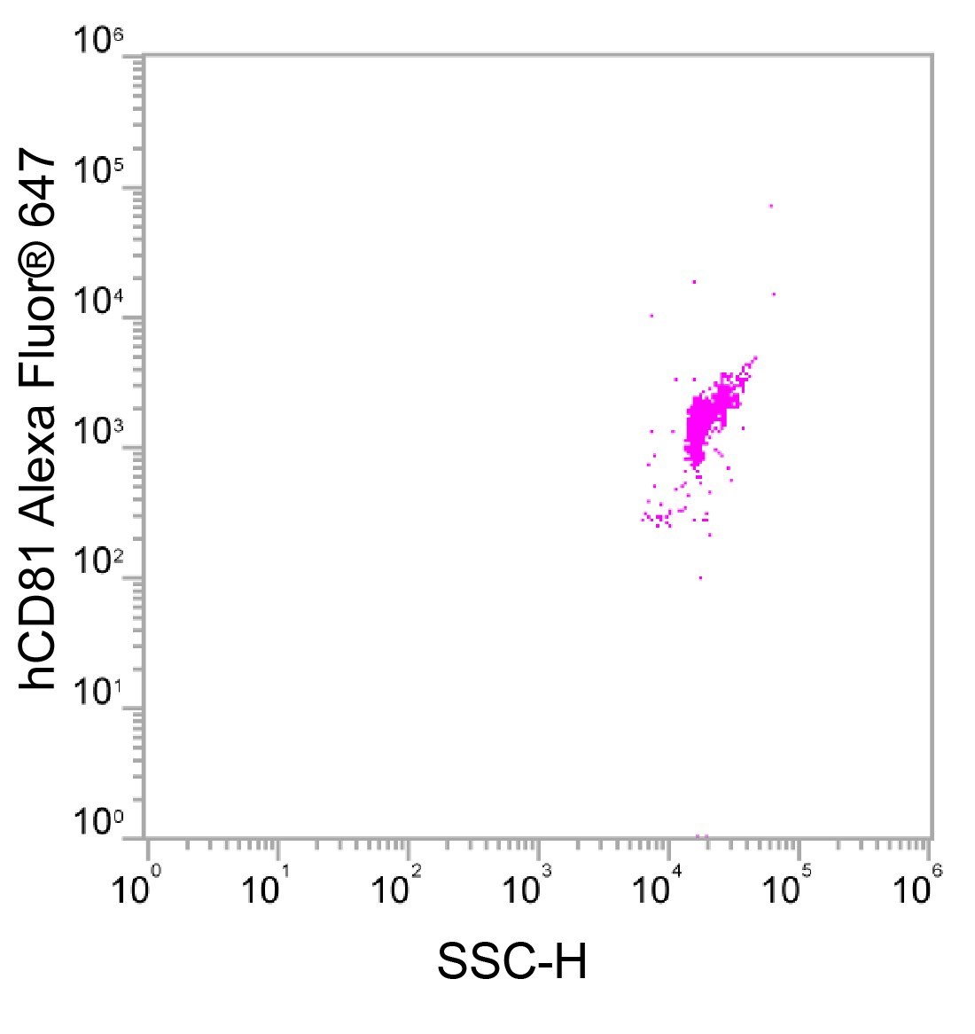 Human CD81 Alexa Fluor® 647‑conjugated Antibody FAB4615R