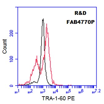 Human TRA‑1‑60(R) PE‑conjugated Antibody FAB4770P