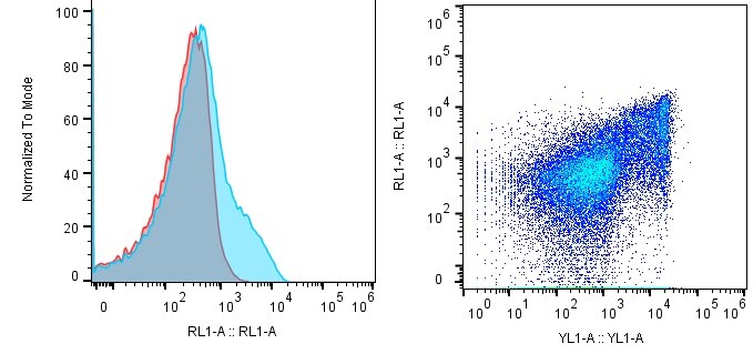 Mouse CD3 Alexa Fluor® 647‑conjugated Antibody FAB4841R